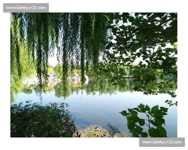 罗森对决大海的极限挑战揭示人与自然的力量碰撞境界思考与生存意义