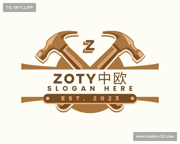 认识zoty中欧